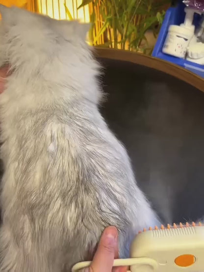 Steam Brush for Dog and Cat, Steamy Brush for Cats and Dogs